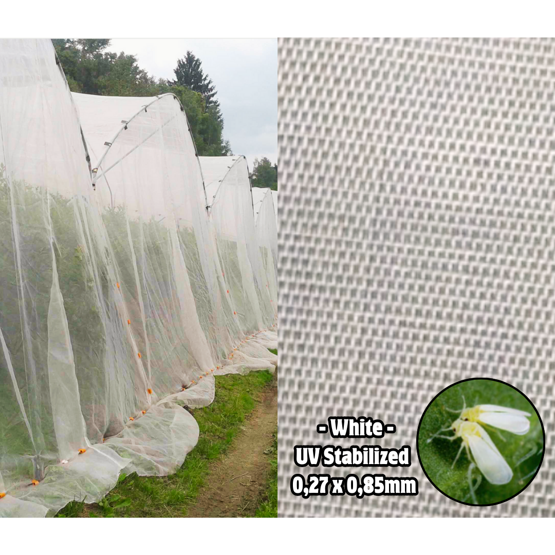 Insektenschutznetz (Breite 6m)