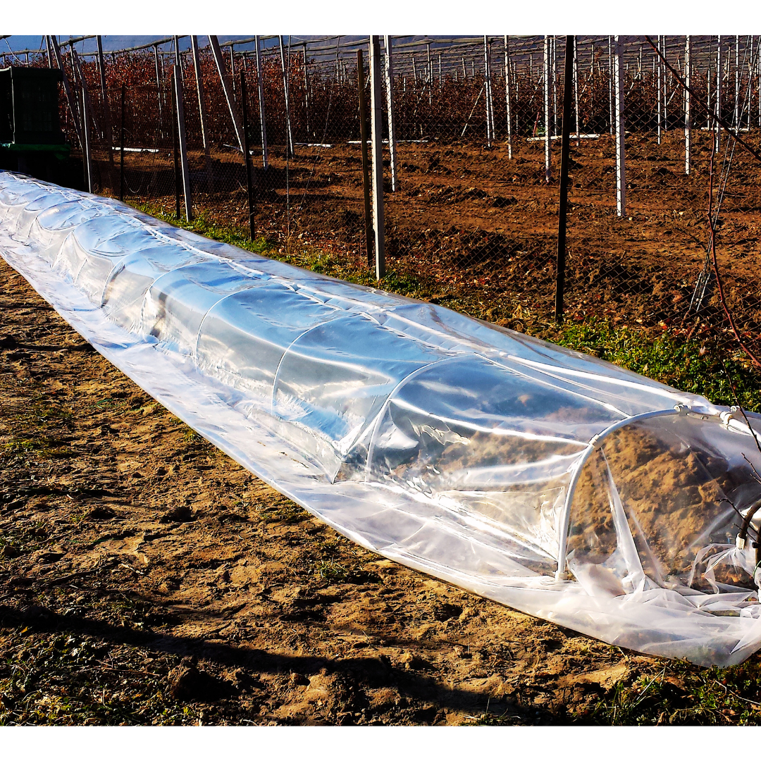 Nylon Folie Patiux (Breite 235 cm) - Abdeckung Frühbeete