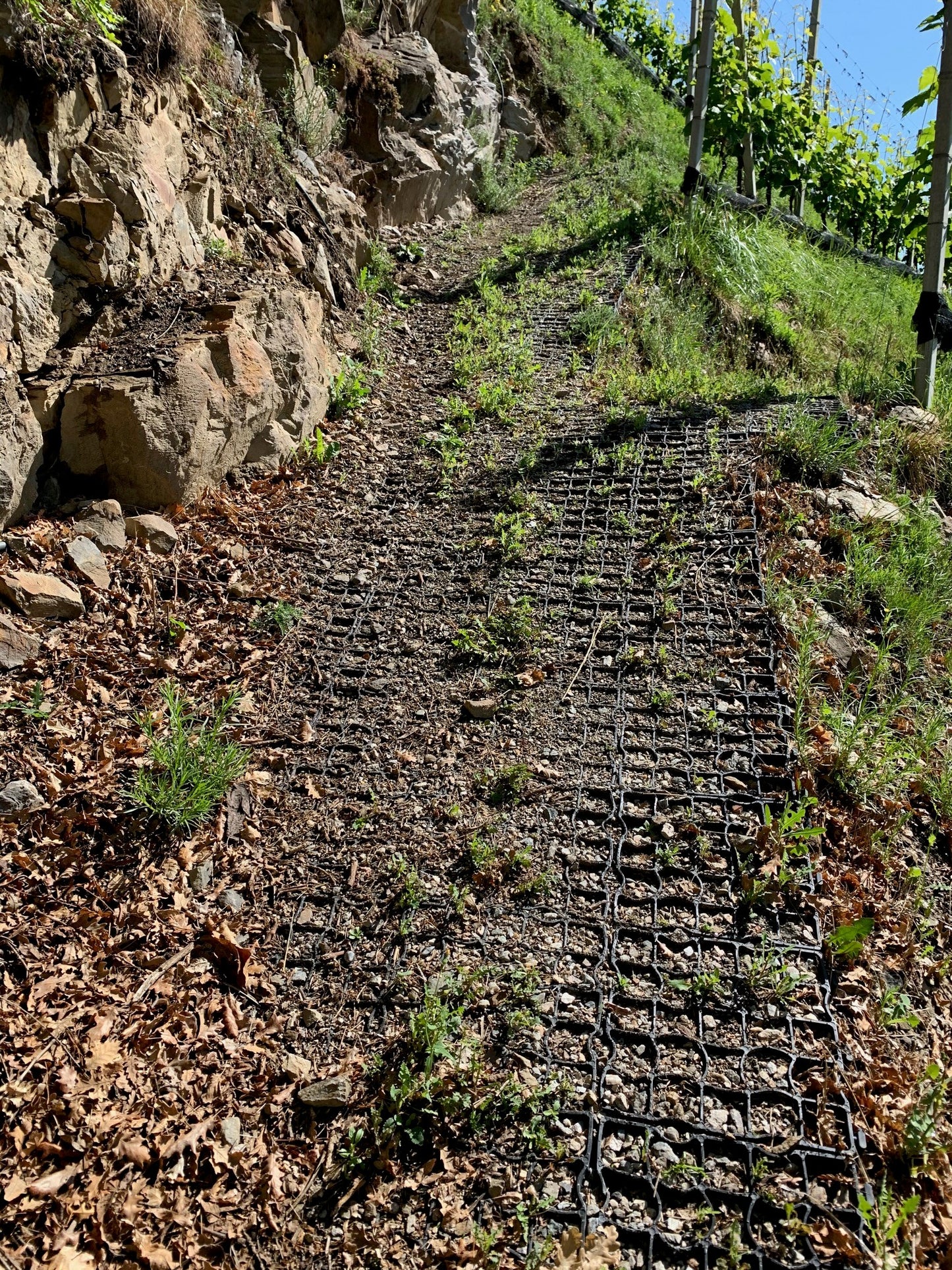 ECORASTER E30 (La griglia leggera ed economica)