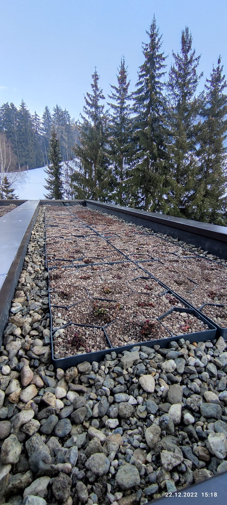 ECOSEDUM-Pack 65 (Für Ihr grünes Dach)