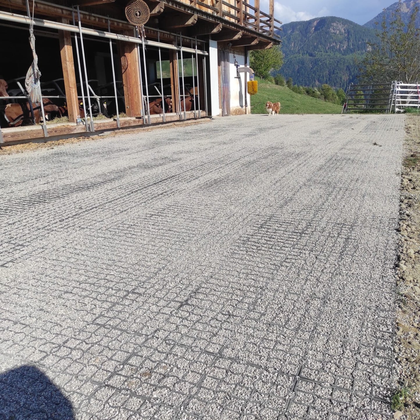 ECORASTER E40 XXL (Soluzione per grandi aree)