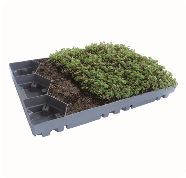 ECOSEDUM-Pack 65 (Für Ihr grünes Dach)