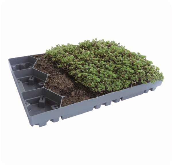 ECOSEDUM-Pack 65 (Für Ihr grünes Dach) 