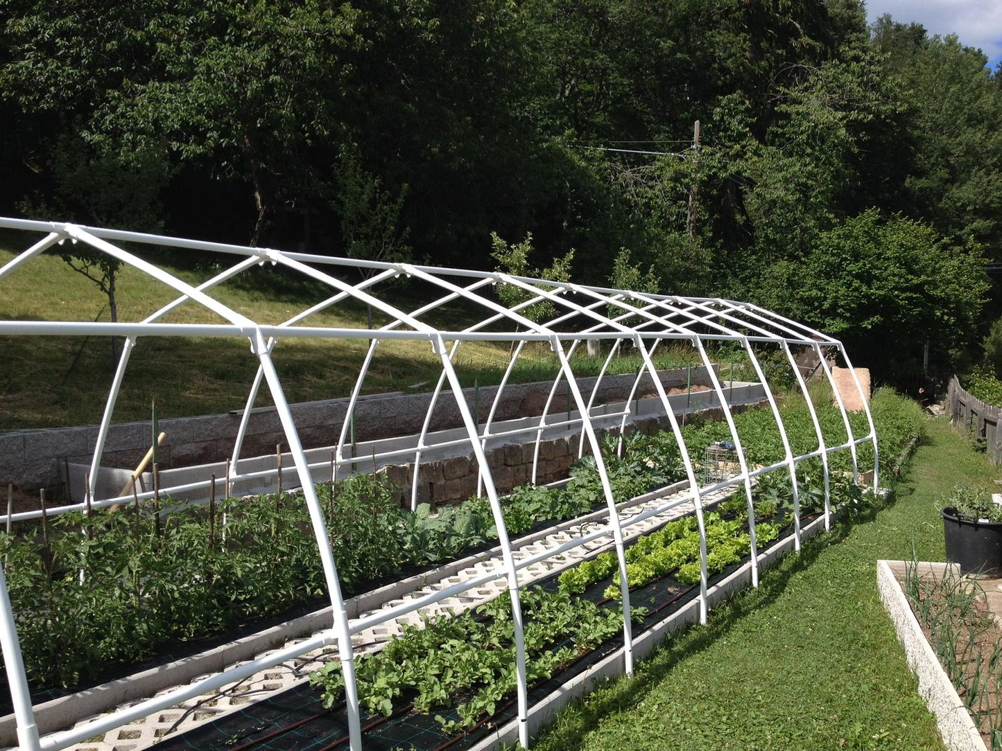 Tomaten-Gewächshaus „Hausform“.