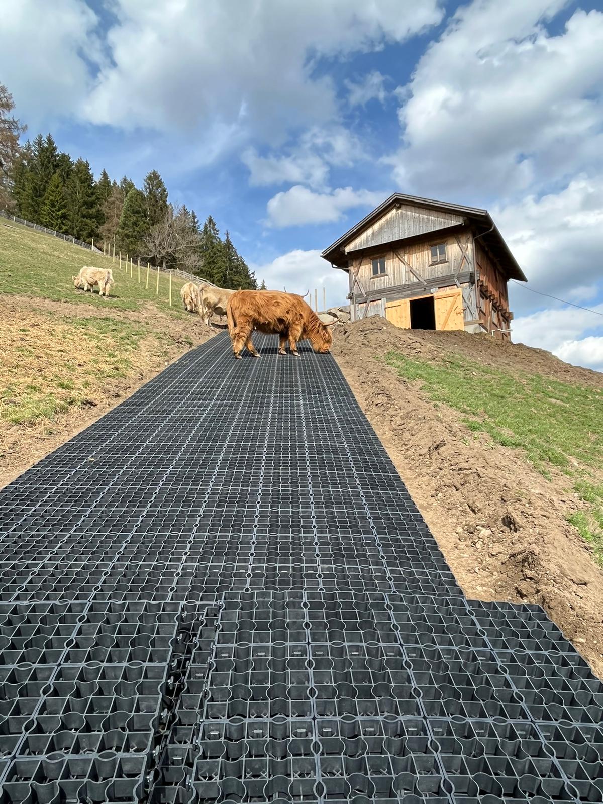 ECORASTER E50 (Das Unverwüstliche Gitter)