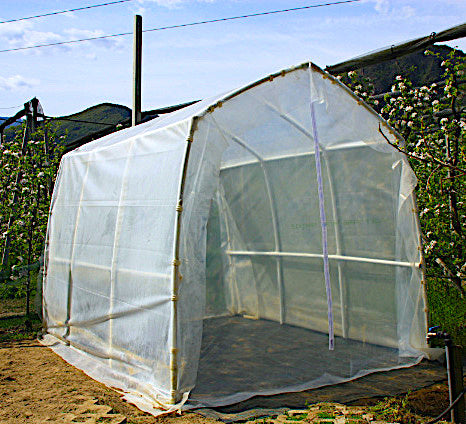 Gewächshaus Tomatentunnel XL