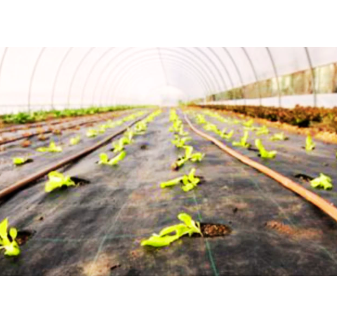 Chiodi fermatelo in pvc