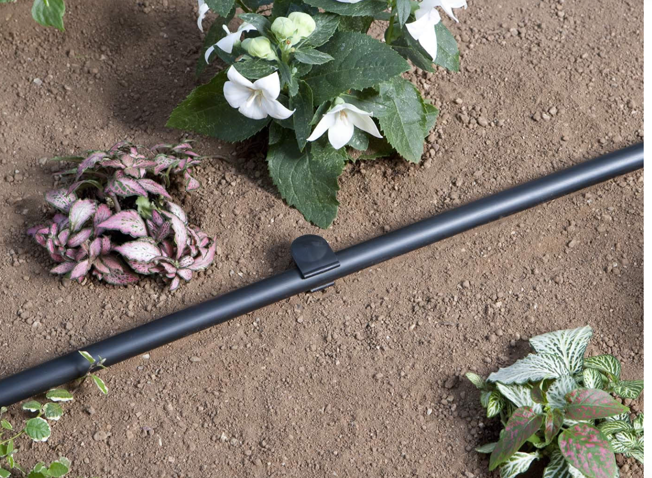 Sammelrohr / Pet-Schlauch 1/2" Claber