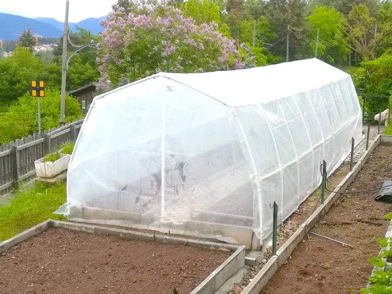 Tomaten-Gewächshaus „Hausform“.