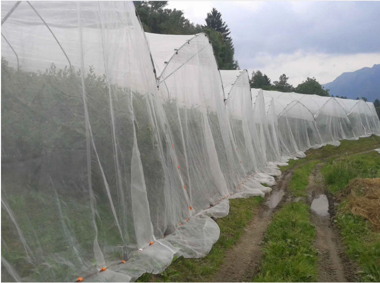 Insektenschutznetz (Breite 6m)