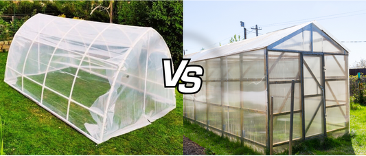 Serra tunnel con telo nylon o serra in policarbonato: quale scegliere?