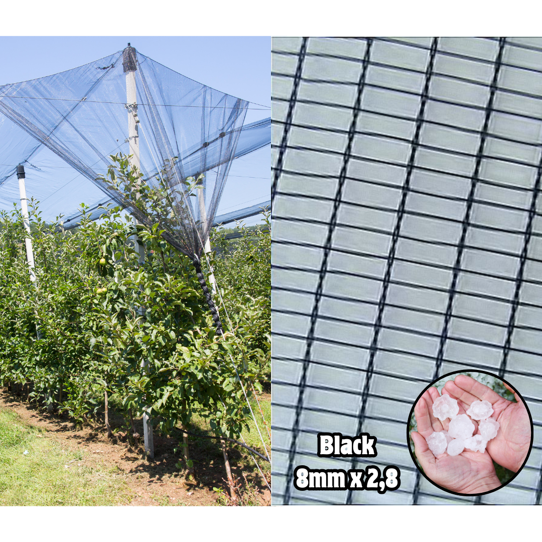 Hagelschutznetz (Breite 6m)
