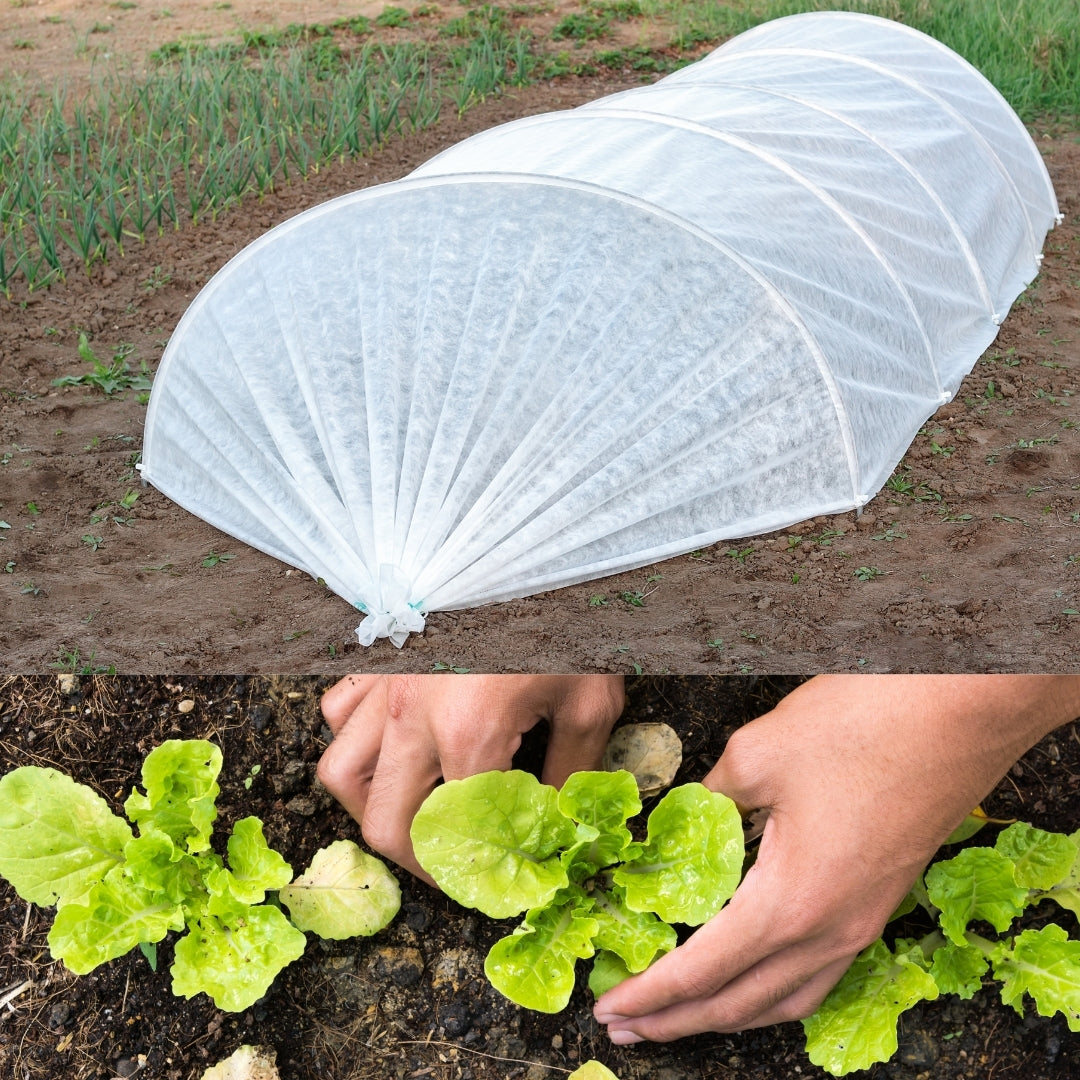 Flexible multilayer seed tunnel for vegetable gardens