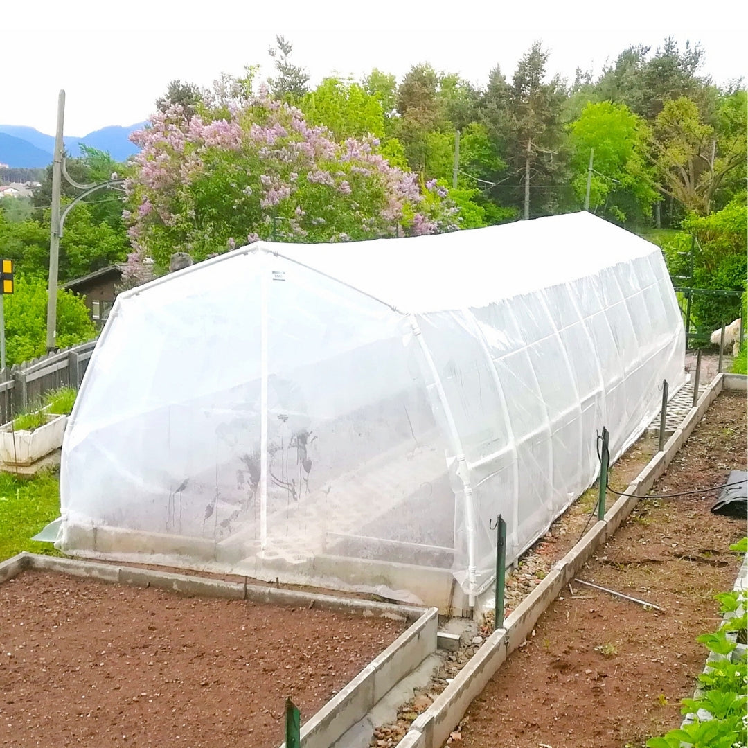 Serra in PVC per pomodori XL modulare