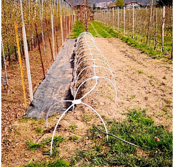 20 Clip Per Serra In Metallo Zincato 30mm - Fissaggio Teloni Per Tunnel Da Giardino - Foto 6