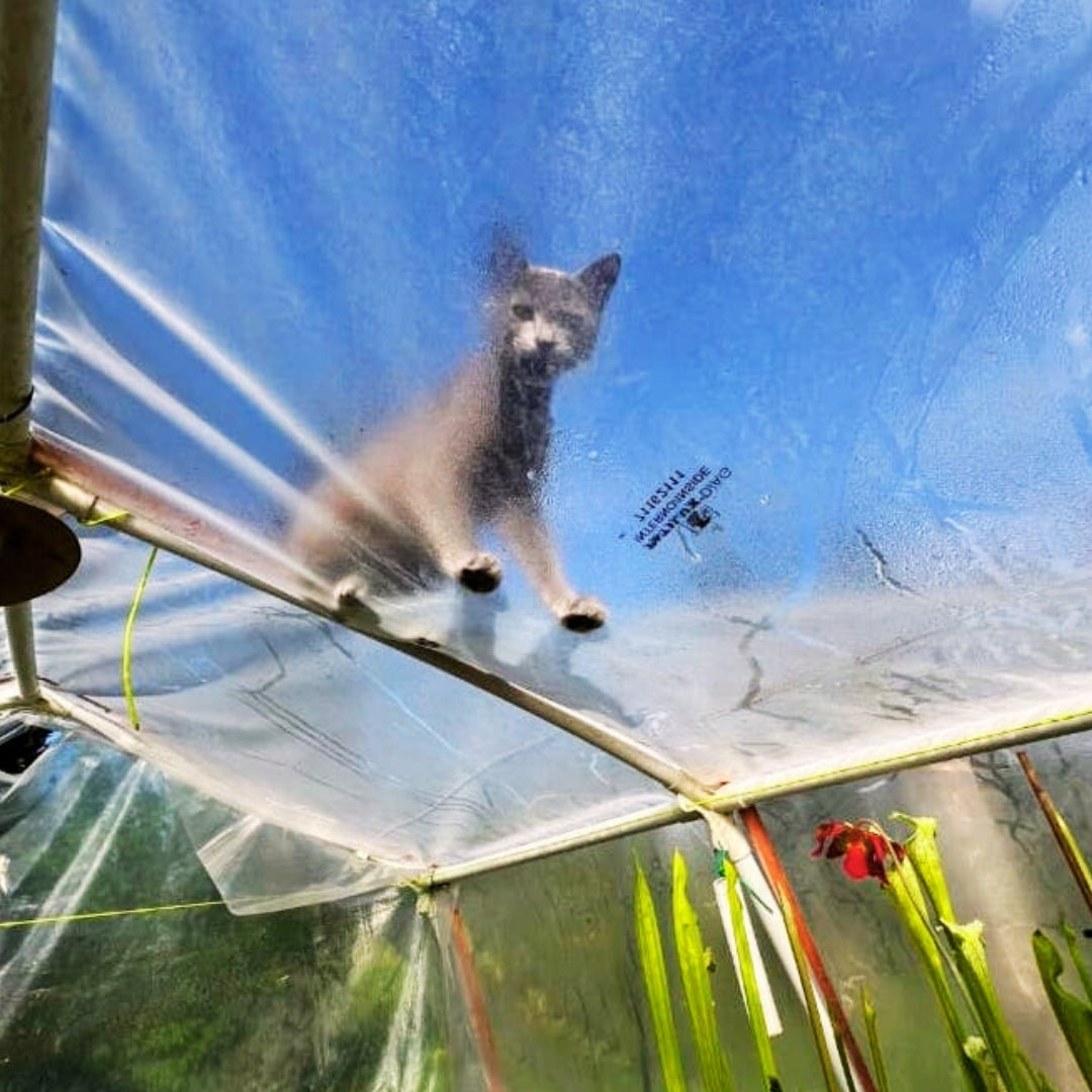 Gewächshausfolie aus Nylon 200 g/m² – Breite 5 Meter